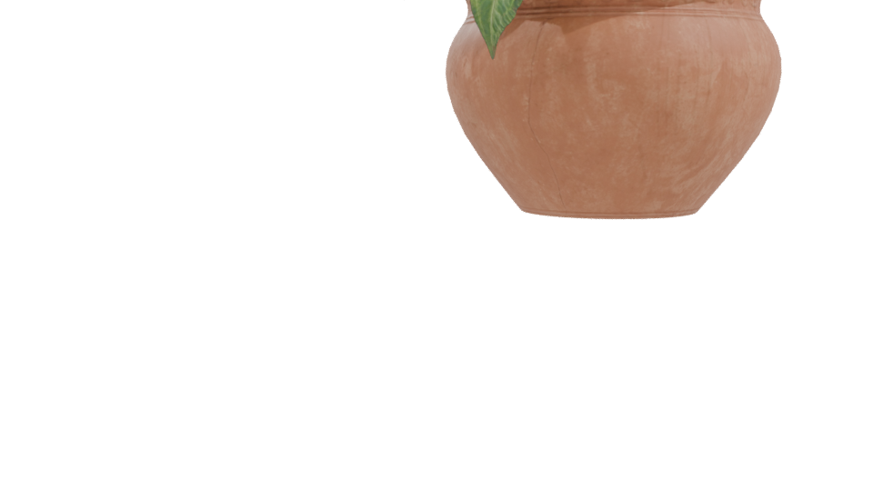 Decorative Potted Plant 3D Model - Professional 3D Model Render 10