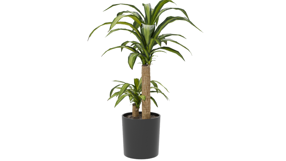 Stylish Indoor Plant Model 3D - Professional 3D Model Render 7