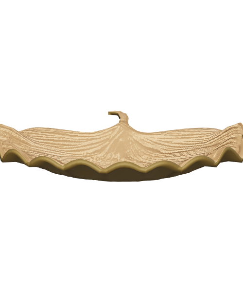 Elegant Decorative Shell Model - Interior 3D Model