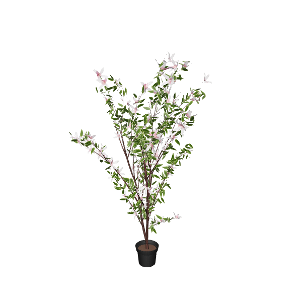 Realistic Flowering Plant 3D Model - 3D Model