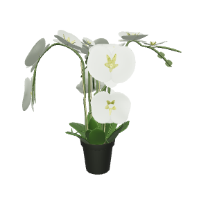 Elegant Orchid Plant 3D Model - Plant 3D Model