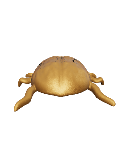 Stylized Golden Turtle 3D Model - 3D Model