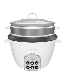 Versatile Electric Steamer Model - 3D Model