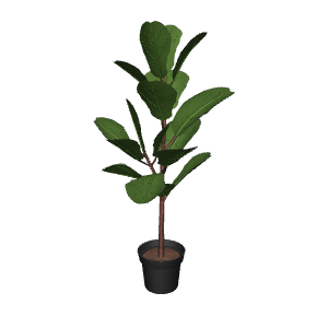 Realistic Indoor Plant Model - Plant 3D Model