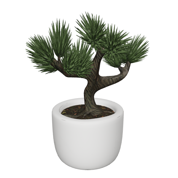 Stylized Bonsai Tree Model 3D - Plant 3D Model