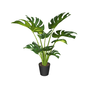 Stylized Indoor Plant Model 3D - Plant 3D Model