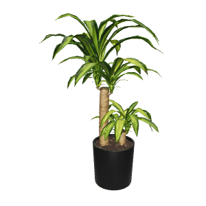 Stylish Indoor Plant Model 3D - Plant 3D Model