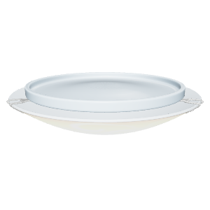 Elegant Ceramic Dish 3D Model - 3D Model
