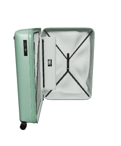 Stylish Hard-shell Luggage 3D Model - 3D Model