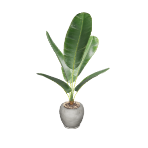 Stylish Potted Plant 3D Model - Plant 3D Model