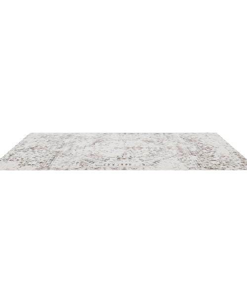 Elegant Vintage Area Rug Model - Interior 3D Model