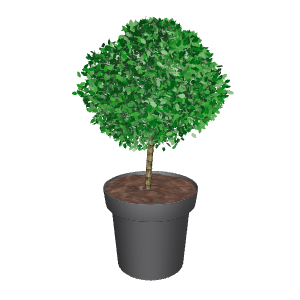 Stylized Potted Topiary Plant - Plant 3D Model