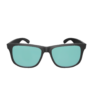Stylish Black Sunglasses Model - Accessory 3D Model
