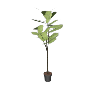 Stylized Indoor Plant 3D Model for Home Decor - Plant 3D Model
