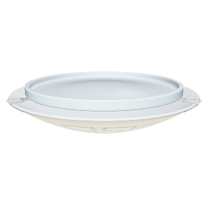 Elegant Ceramic Plate Model - 3D Model