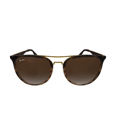 Stylish Rounded Frame Sunglasses 3D Model - 3D Model