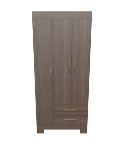 Modern 3-D Closet Furniture Model - 3D Model