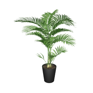 Lifelike Indoor Plant Model - Plant 3D Model