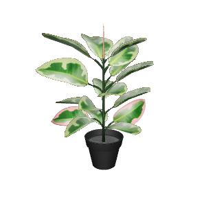 Artificial Pink Rubber Plant 3D - Plant 3D Model