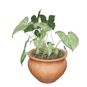 Decorative Potted Plant 3D Model - 3D Model