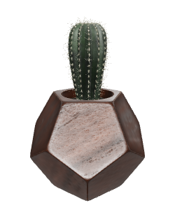 Stylized Cactus Pot Model - Premium 3D Model at $9