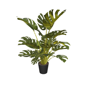 Lush Green Monstera Plant 3D Model - Plant 3D Model